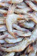 Raw shrimp