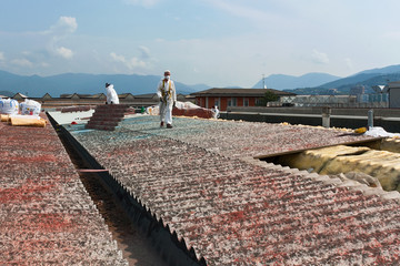Asbestos removal on a roof of an industry