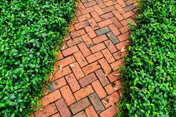 Red brick pathway in the garden