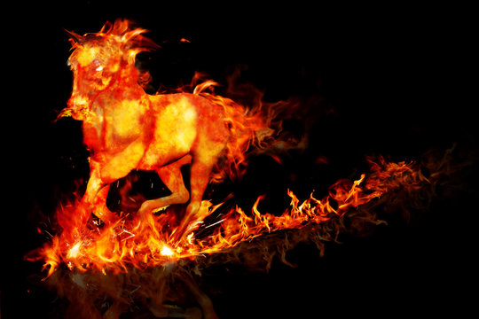 Fire horse running on a reflective surface