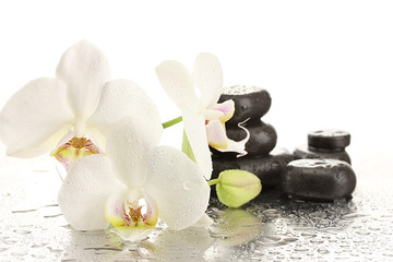 Fototapeta na wymiar Spa kamienie i kwiaty orchidei, na białym tle.