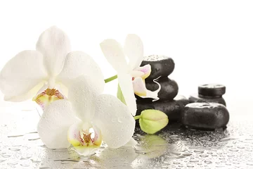 Photo sur Plexiglas Orchidée Pierres de spa et fleurs d& 39 orchidées, isolées sur blanc.
