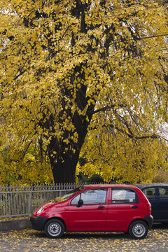 yello and red car