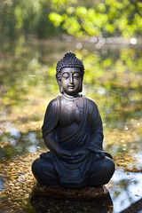 Buddha Meditation am Wasser