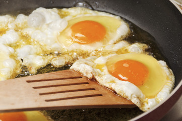 Fried eggs