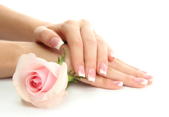 Obraz premium Ręce pięknej kobiety z różą, na białym tle