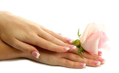 Obraz na płótnie Canvas Piękne dłonie kobiety z rose, samodzielnie na białym tle
