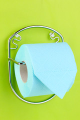 Roll of toilet paper on  holder fixed to wall