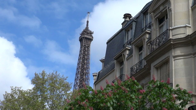 scenes of Paris