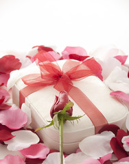 Valentines Day gift in red box with rose petal