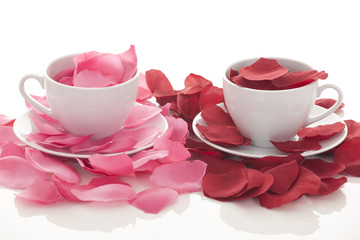 Coffee cup and rose petals 