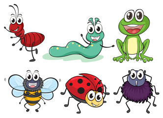 Various insects and animals