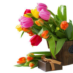 Obraz premium blooming tulips with present