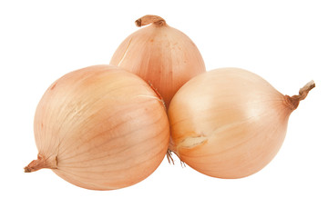 Onion isolated on white background