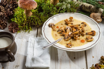 Closeup of wild mushroom soup and moss