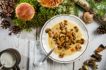 Closeup of wild mushroom soup and part of forest