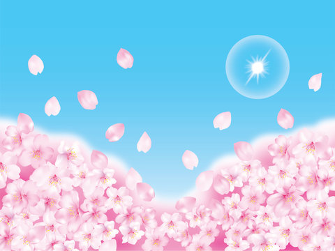 桜空
