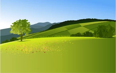 Papier Peint photo Lavable Couleur pistache Paysage de campagne avec des montagnes
