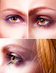yellow eye