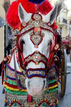cavallo mentre tira un carretto siciliano