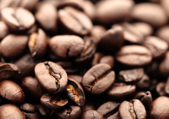 coffee bean