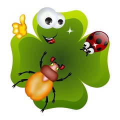 scarabeo e coccinella