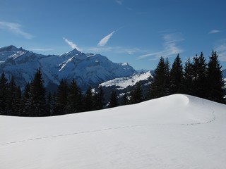 Fototapeta na wymiar Winter Landscape Near Gstaad, Swiss Alps