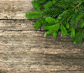 fir tree branch on wooden background