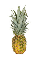 Fototapeta premium pineapple