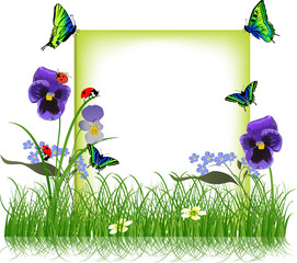 papillons bleus et verts sur châssis