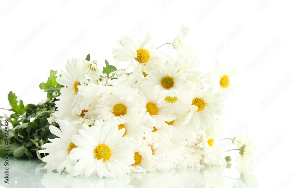 Sticker bouquet of beautiful daisies flowers, isolated on white