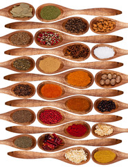 Concept with spices on wooden spoons on white background