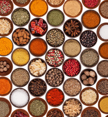Various kinds of spices on white background