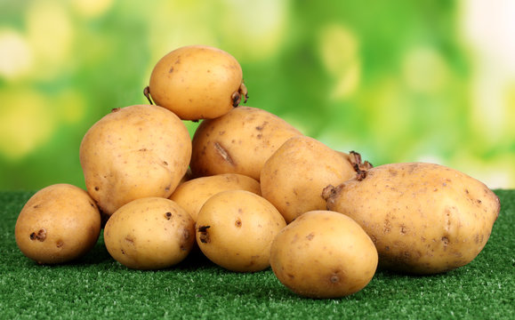 Ripe potatoes on grass on natural background