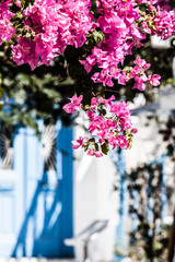 Fototapeta na wymiar Typowa wąska uliczka w mieście Mykonos, Grecja
