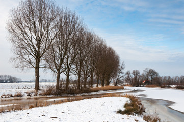 Fototapeta na wymiar Wsi zimowy krajobraz w Holandii