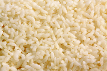 cooking ingredients rice