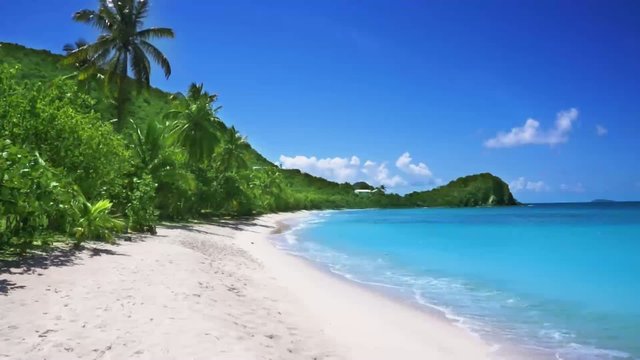 Tropical beach in Saint Martin, Caribbean Islands