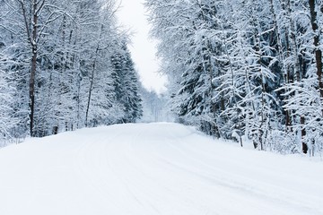 winter road