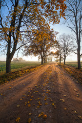 Obraz premium Rural road in autumn.