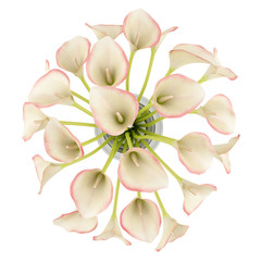 Fototapeta na wymiar top bukiet widok calla lilie w wazonie na białym tle