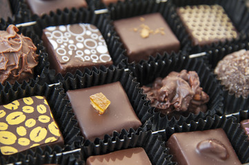 Box of various chocolate pralines