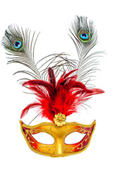 Carnival mask