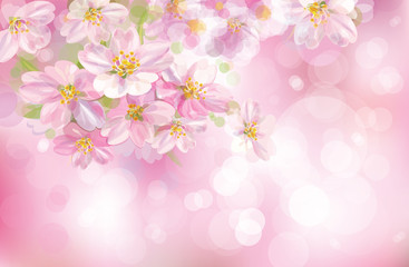 Vector of spring blossoming tree with pink background