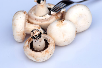 CHAMPIÑONES AISLADOS Y AMONTONADOS CON TENEDOR