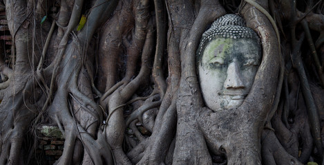 Buda de ayutthaya - obrazy, fototapety, plakaty
