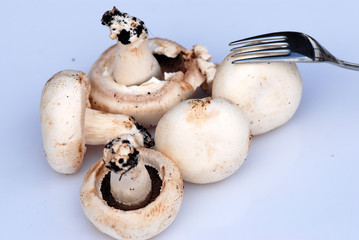 CHAMPIÑONES. TENEDOR, COMIDA