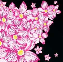 Pink flowers on the black