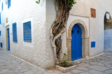 Tunisian architecture