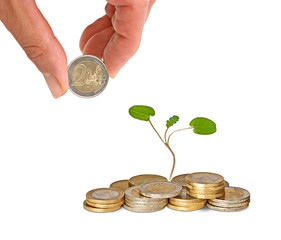 Tree growing from pile of coins